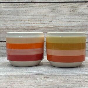 Set of 2 Ceramic Planters Striped‎ Sunset Colors 4 Inch Mini Rose